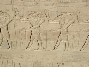 Photo »D03_0895« aus dem Edfu-Projekt.