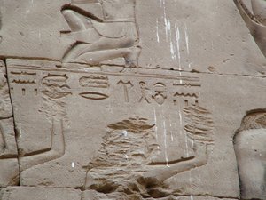 Photo »D05_3468« aus dem Edfu-Projekt.