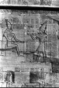 Photo »458« aus dem Edfu-Projekt.
