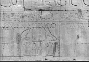 Photo »716« of the Edfu-Project.