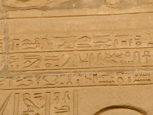 Photo »D05_1880« aus dem Edfu-Projekt.