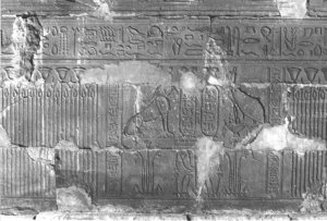 Photo »234« aus dem Edfu-Projekt.