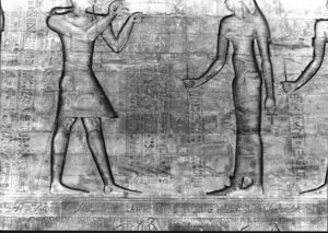 Photo »2898« aus dem Edfu-Projekt.