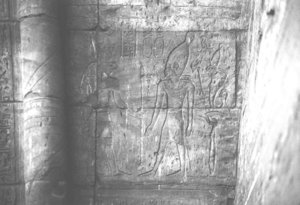 Photo »3939« of the Edfu-Project.