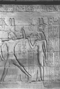 Photo »4424« aus dem Edfu-Projekt.