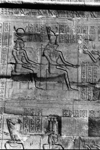 Photo »457« aus dem Edfu-Projekt.