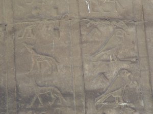 Photo »D05_5047« of the Edfu-Project.