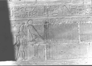Photo »2195« aus dem Edfu-Projekt.