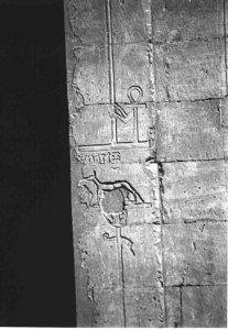 Photo »3969« of the Edfu-Project.