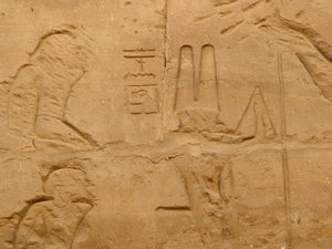 Photo »D05_1919« aus dem Edfu-Projekt.