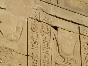 Photo »D05_3822« of the Edfu-Project.