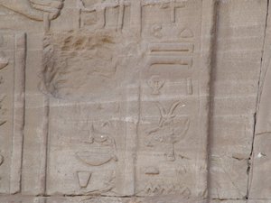 Photo »D05_4134« of the Edfu-Project.