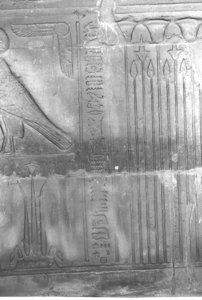 Photo »3951« of the Edfu-Project.