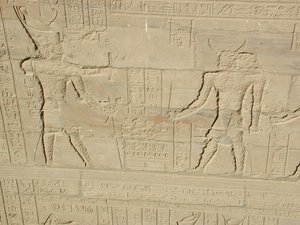Photo »D03_0871« aus dem Edfu-Projekt.
