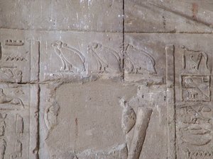 Photo »D05_5415« of the Edfu-Project.