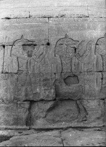 Photo »2311« of the Edfu-Project.