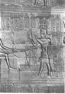 Photo »3989« aus dem Edfu-Projekt.