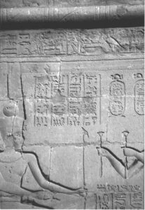 Photo »4351« aus dem Edfu-Projekt.
