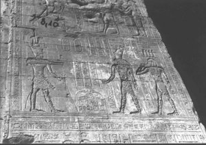 Photo »526« of the Edfu-Project.