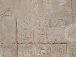 Photo »D05_5176« of the Edfu-Project.