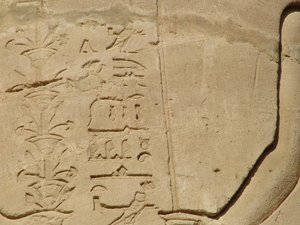Photo »D05_5960« of the Edfu-Project.