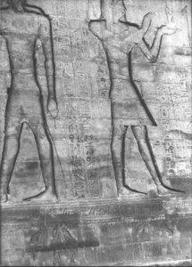 Photo »2878« aus dem Edfu-Projekt.
