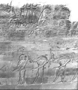 Photo »3051« aus dem Edfu-Projekt.