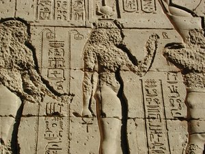 Photo »D03_0446« aus dem Edfu-Projekt.