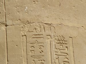 Photo »D05_6905« of the Edfu-Project.