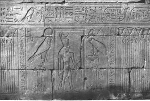 Photo »246« aus dem Edfu-Projekt.