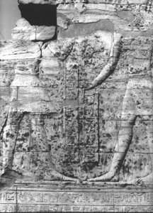 Photo »2631« of the Edfu-Project.