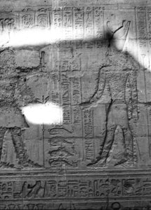 Photo »2207« aus dem Edfu-Projekt.