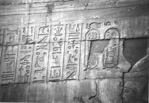 Photo »4157« aus dem Edfu-Projekt.