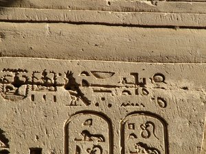 Photo »D05_0602« aus dem Edfu-Projekt.