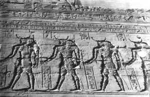 Photo »1129« aus dem Edfu-Projekt.