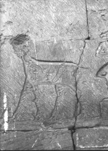 Photo »2290« of the Edfu-Project.