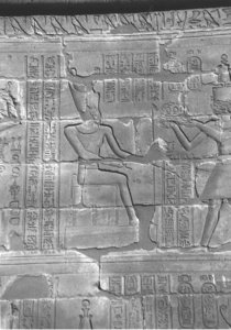 Photo »4313« aus dem Edfu-Projekt.