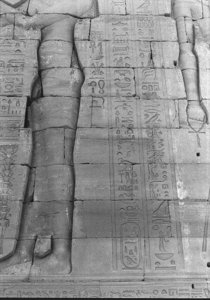 Photo »1048« aus dem Edfu-Projekt.