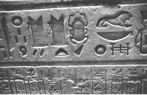 Photo »1180« aus dem Edfu-Projekt.