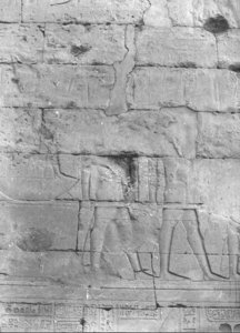 Photo »833« of the Edfu-Project.
