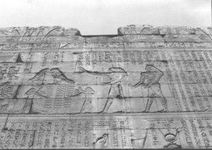 Photo »1474« aus dem Edfu-Projekt.