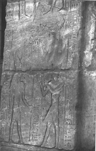 Photo »3165« aus dem Edfu-Projekt.