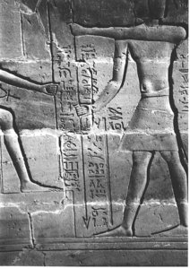 Photo »3983« aus dem Edfu-Projekt.