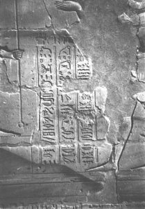 Photo »4023« aus dem Edfu-Projekt.