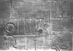 Photo »4061« aus dem Edfu-Projekt.