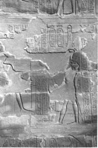 Photo »4181« aus dem Edfu-Projekt.