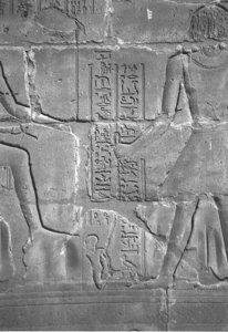 Photo »4309« aus dem Edfu-Projekt.