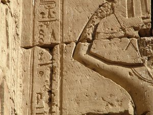 Photo »D05_0605« aus dem Edfu-Projekt.