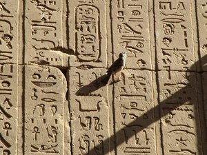 Photo »D05_0830« aus dem Edfu-Projekt.