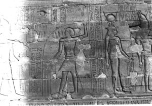 Photo »265« aus dem Edfu-Projekt.